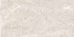 Avorio