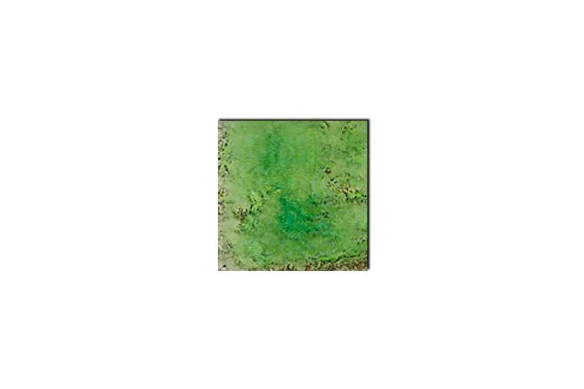 Керамогранит Pecchioli Firenze (Пеккиоли Фирензе) Cotto Del Mugello Verde Mela