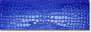 Blue Crocojoy