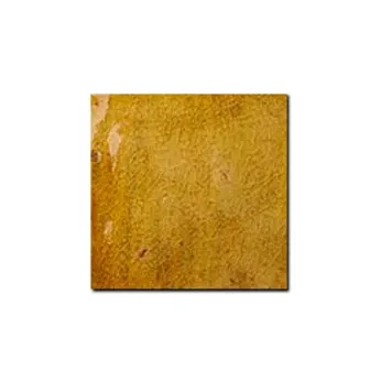 Керамогранит Pecchioli Firenze (Пеккиоли Фирензе) Cotto Del Mugello Uniti Miele