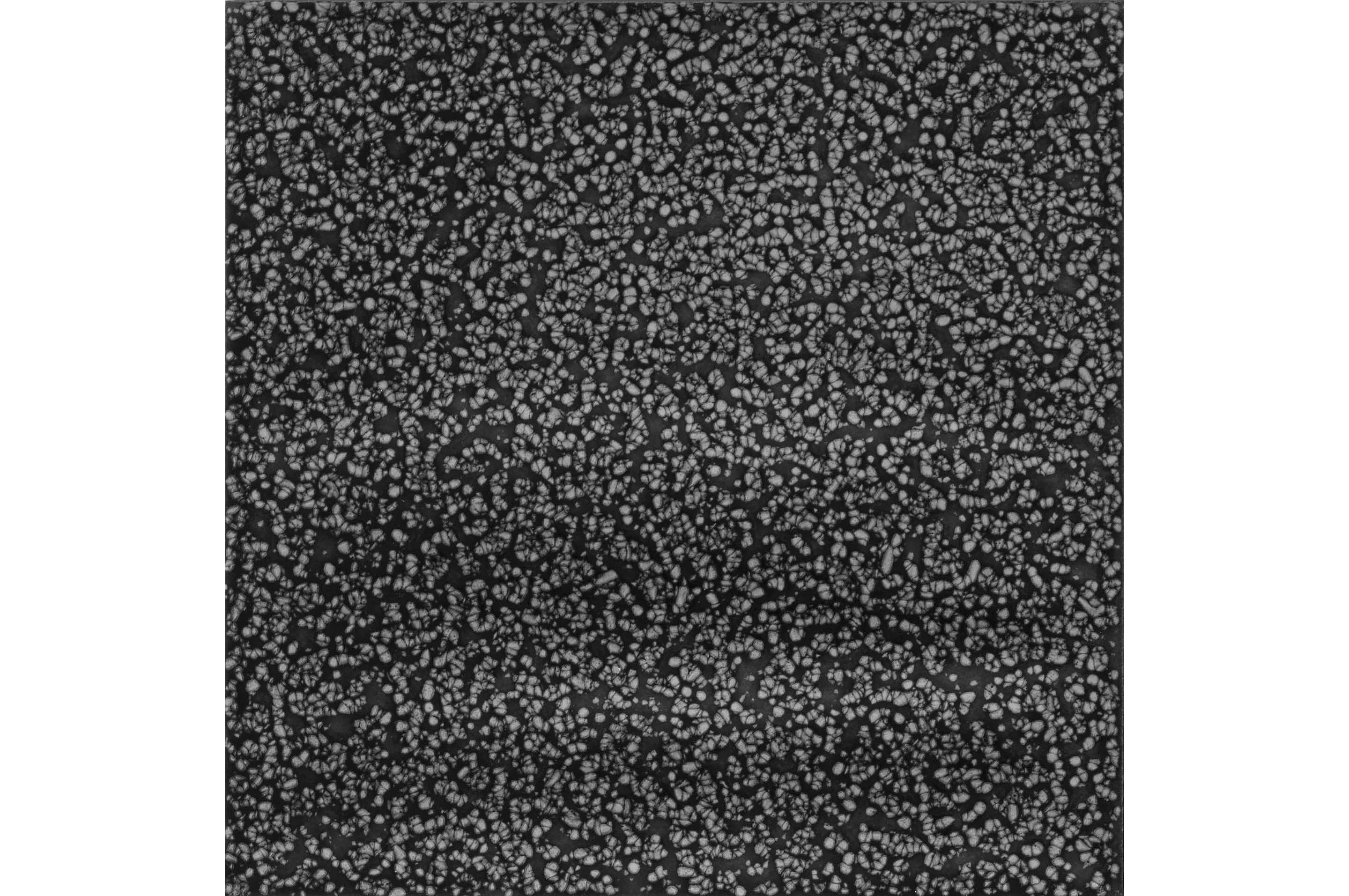 Керамогранит Cerasarda Porto Rotondo Galuchat Carbone