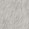 Gesso