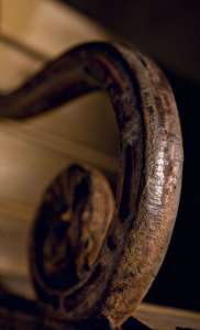 Интерьер 36856