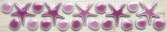 Fregio Star Glicine