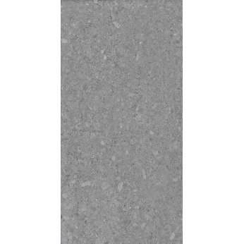 Керамогранит Terratinta Ceramiche Vicentina Cenere
