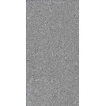 Керамогранит Terratinta Ceramiche Vicentina Cenere