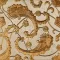 sidow 2 30,5x30,5 vertigo rocher