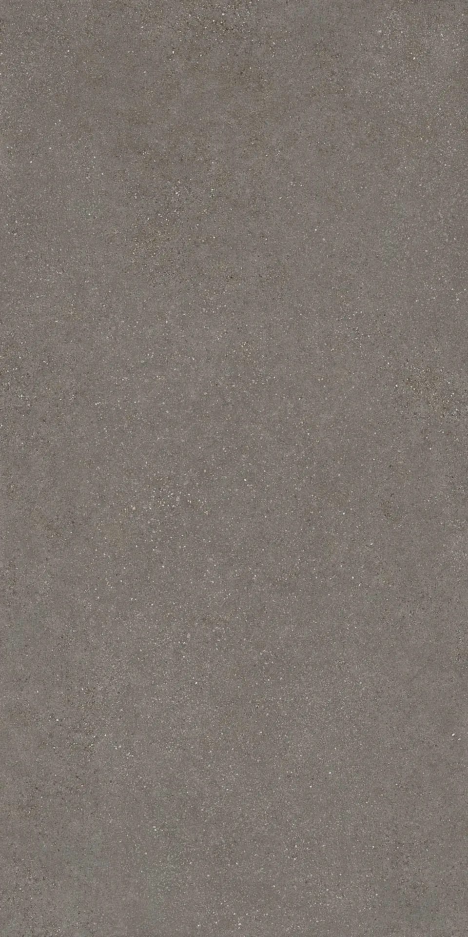 Керамогранит Cedit Compatta Ghiaia