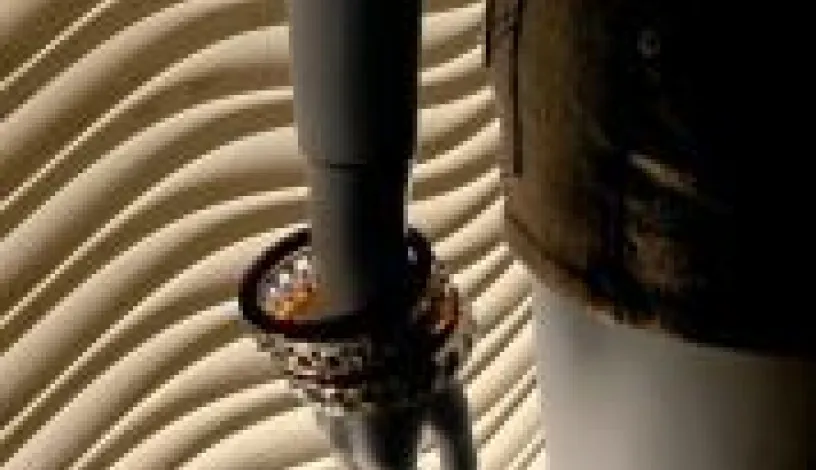 Hedonism - Petra Antiqua