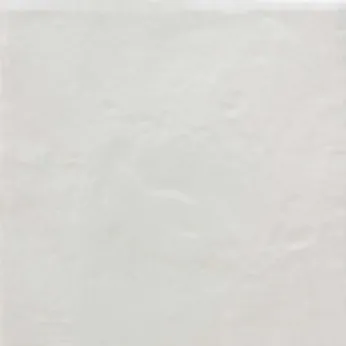 Керамогранит Tonalite Provenzale Bianco Neve