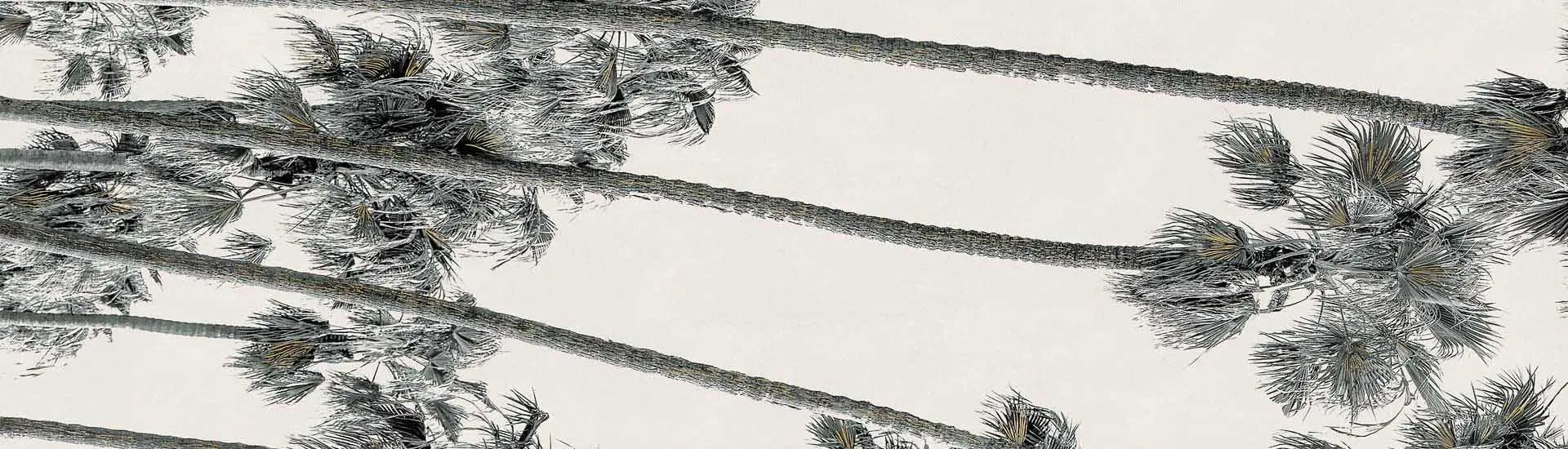 Керамогранит ABK Wide & Style Hollywood C