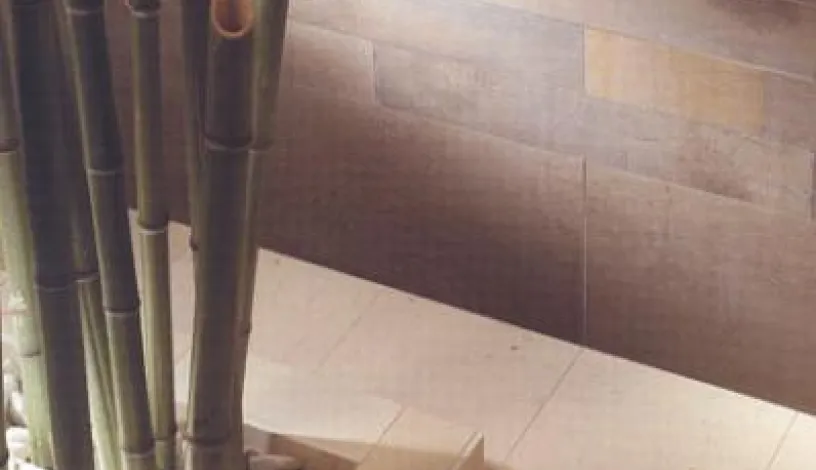 FRAMMENTI D`ORIENTE - Tanimar