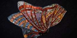 Mariposa 17 Option A
