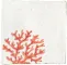 Decoro Corallo Rosso S/2 20x20 1
