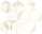 Calacatta Prestigio Rose Hex Silk