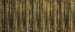 Fuliggine gold