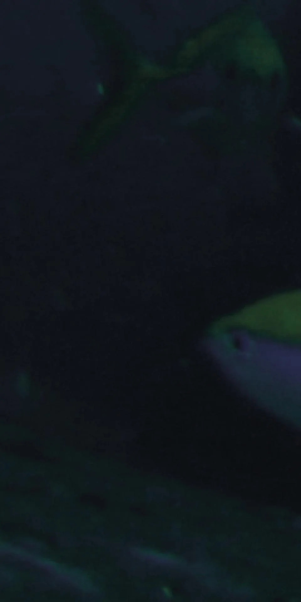 Керамогранит MaxFine by Iris FMG Design Your Slabs Coral Reef Fish