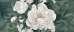 Peonia B