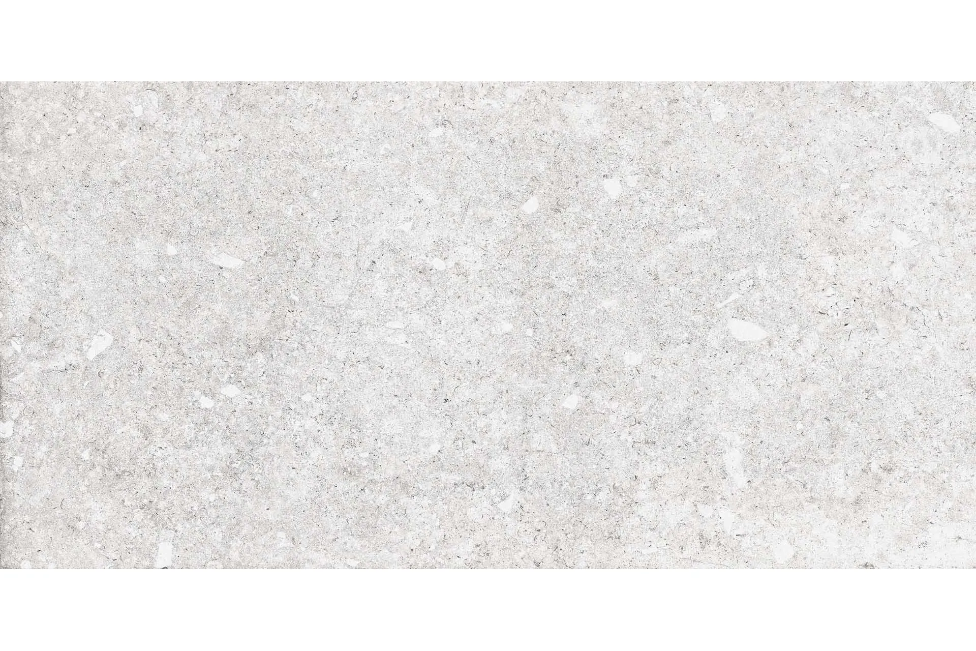 Керамогранит Terratinta Ceramiche Vicentina Bianco