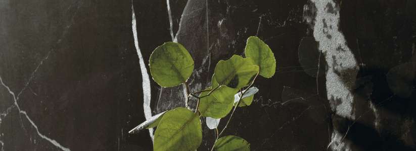 Интерьер 3268793