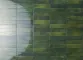 Green (Грин)
