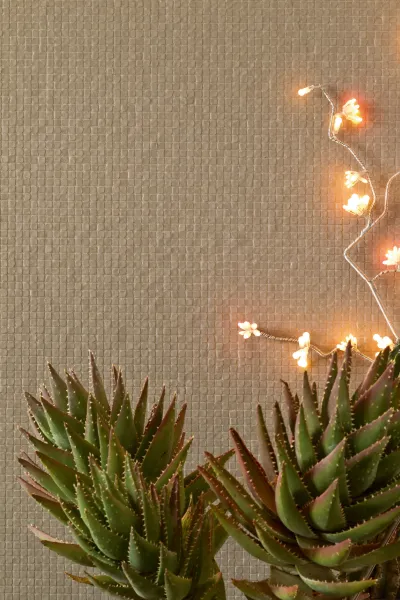 Интерьер 43854