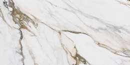 Macchia Antica