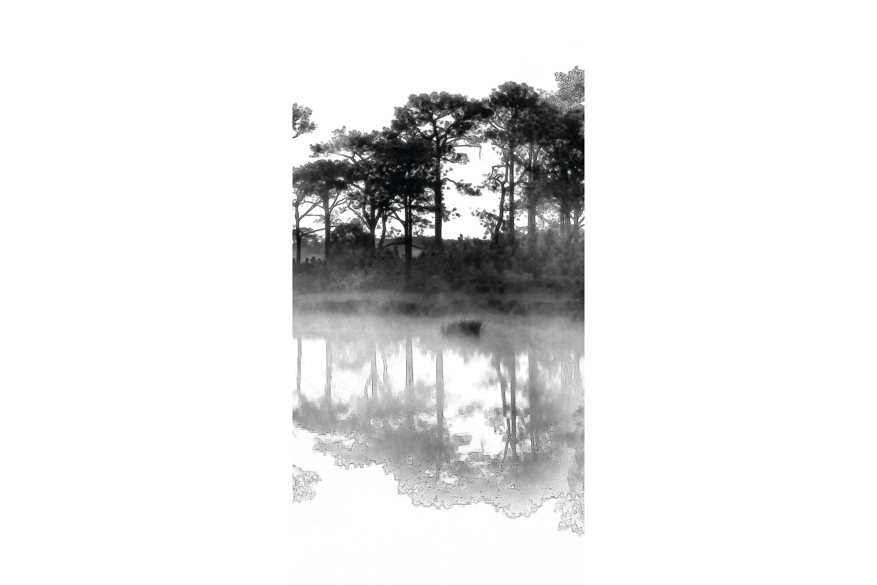 Керамогранит MaxFine by Iris FMG Design Your Slabs Mirror Lake B&W