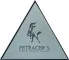 Logo Platino (Лого Платино)