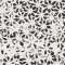 Bloom white