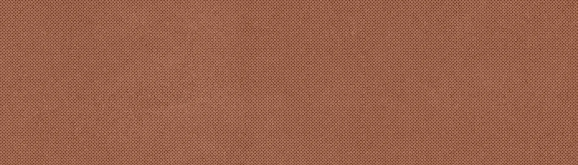 Керамогранит Imola Ceramica Retina Carminio Pat