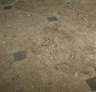 Интерьер 50210