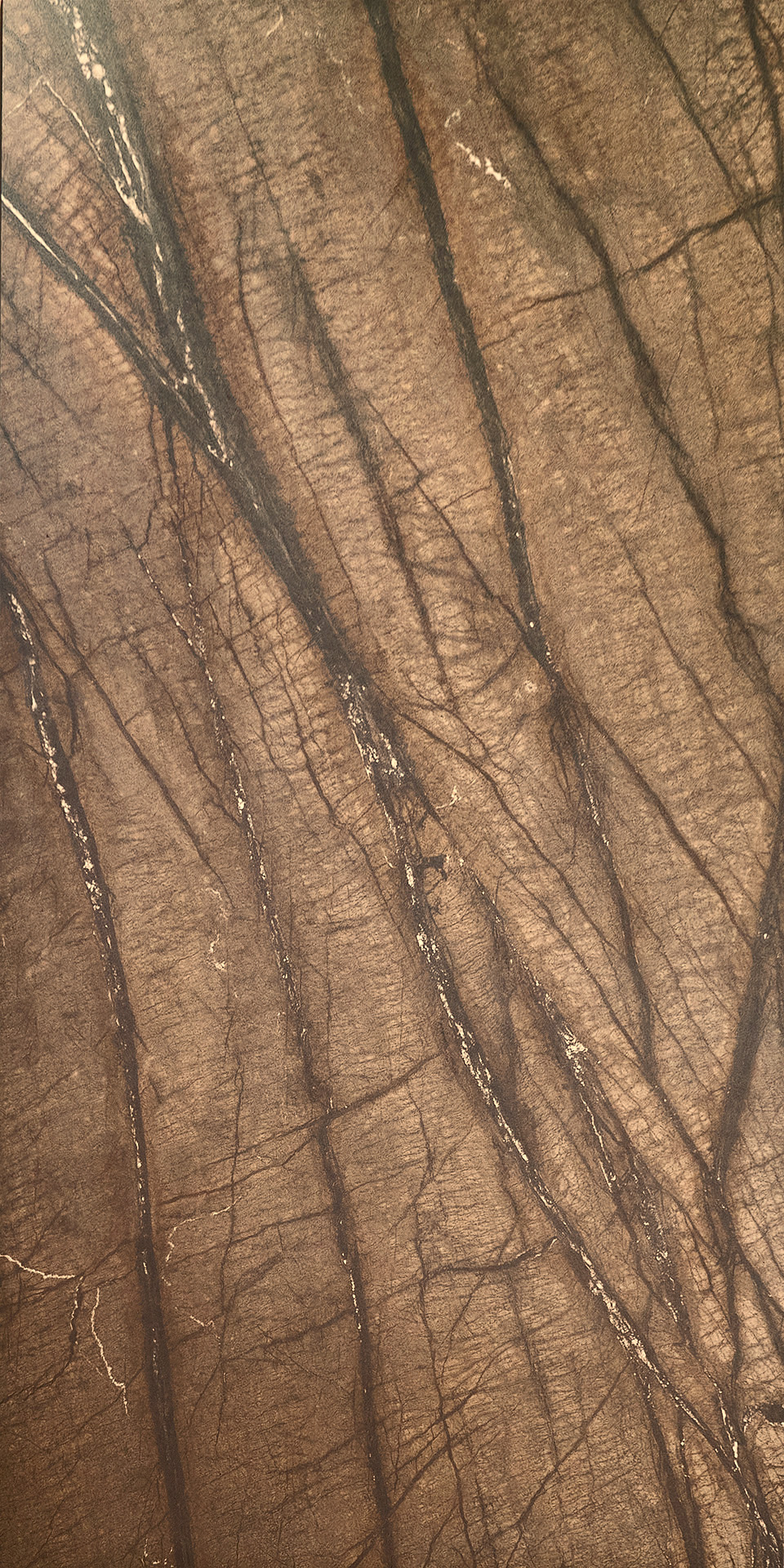 BROWN FOREST