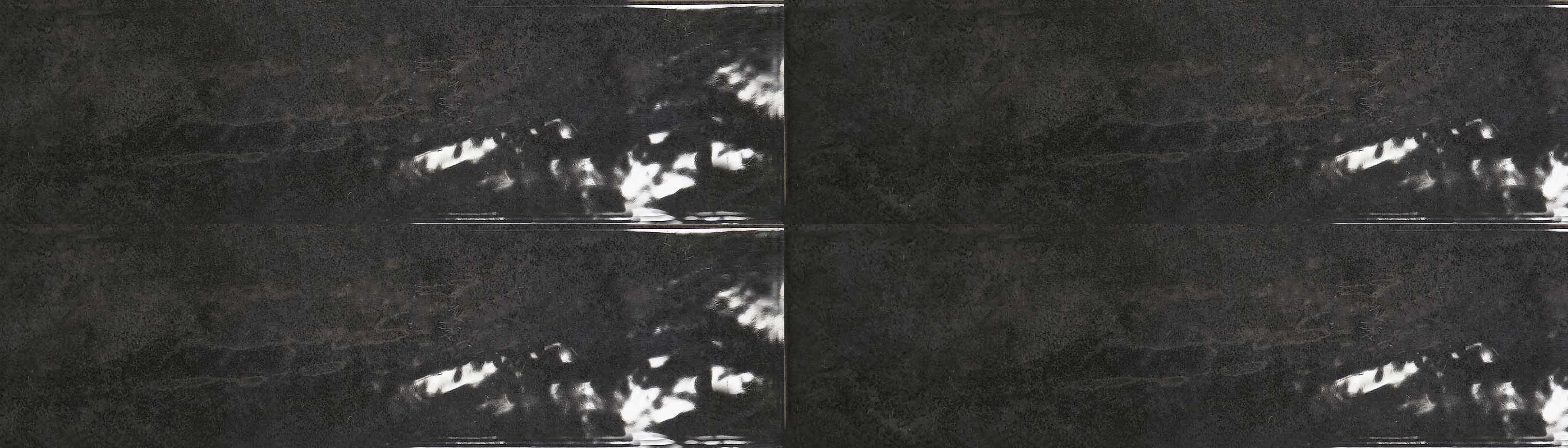 Керамогранит Tonalite Foliage Nero