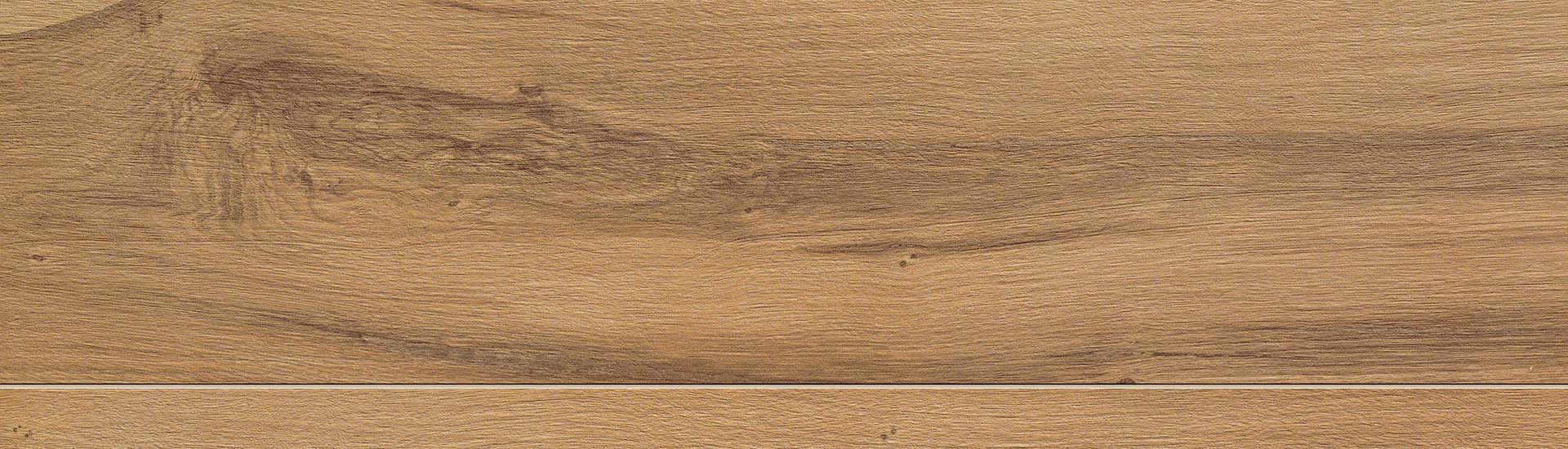 Керамогранит Atlas Concorde Etic Pro Rovere Venice