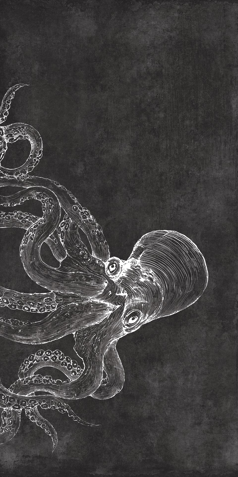 Керамогранит MaxFine by Iris FMG Design Your Slabs Octopus White