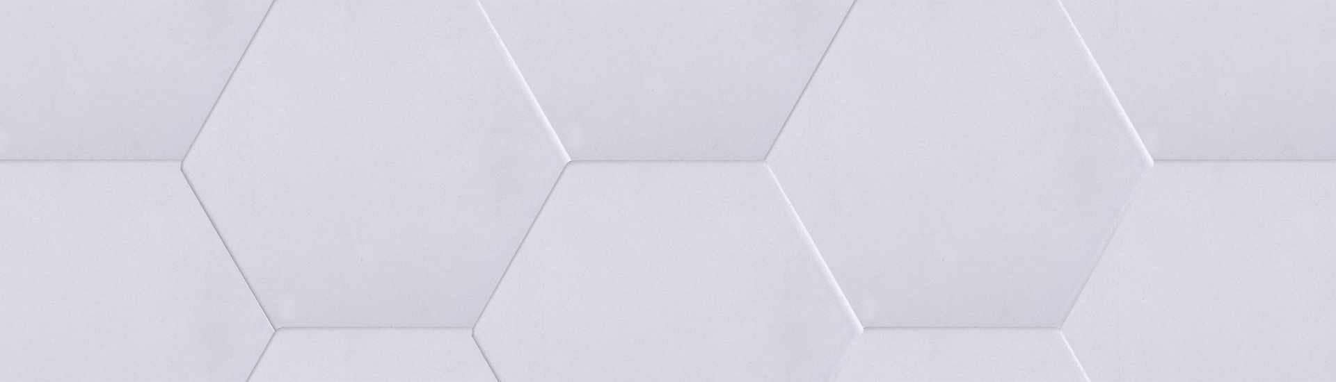 Керамогранит Tonalite Examatt Grigio Chiaro
