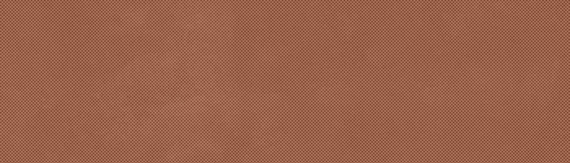 Керамогранит Imola Ceramica Retina Carminio Pat