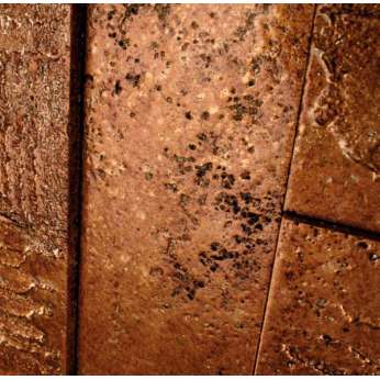 Мрамор Petra Antiqua Collections 1 RAME 10x30/10x90cm