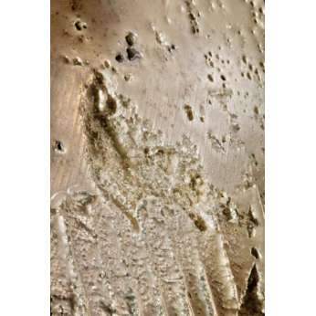 Мрамор Petra Antiqua Collections 1 MADREPERLA 10x30/10x60 cm