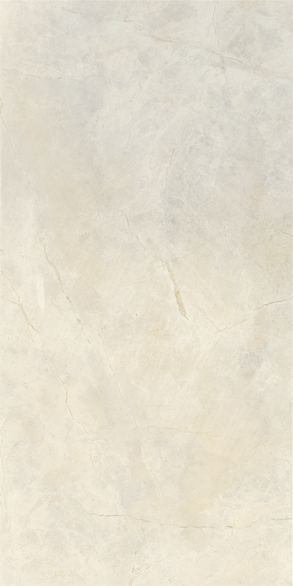 BRECCIA ARGENTO