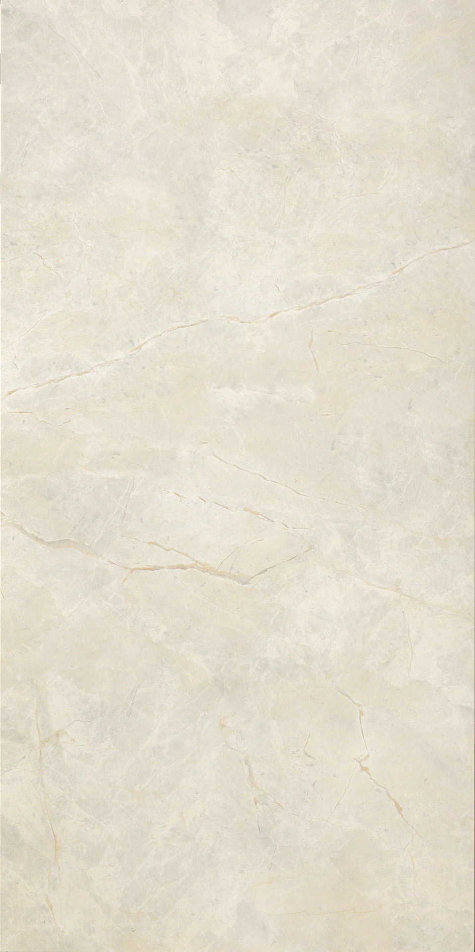 BRECCIA ARGENTO