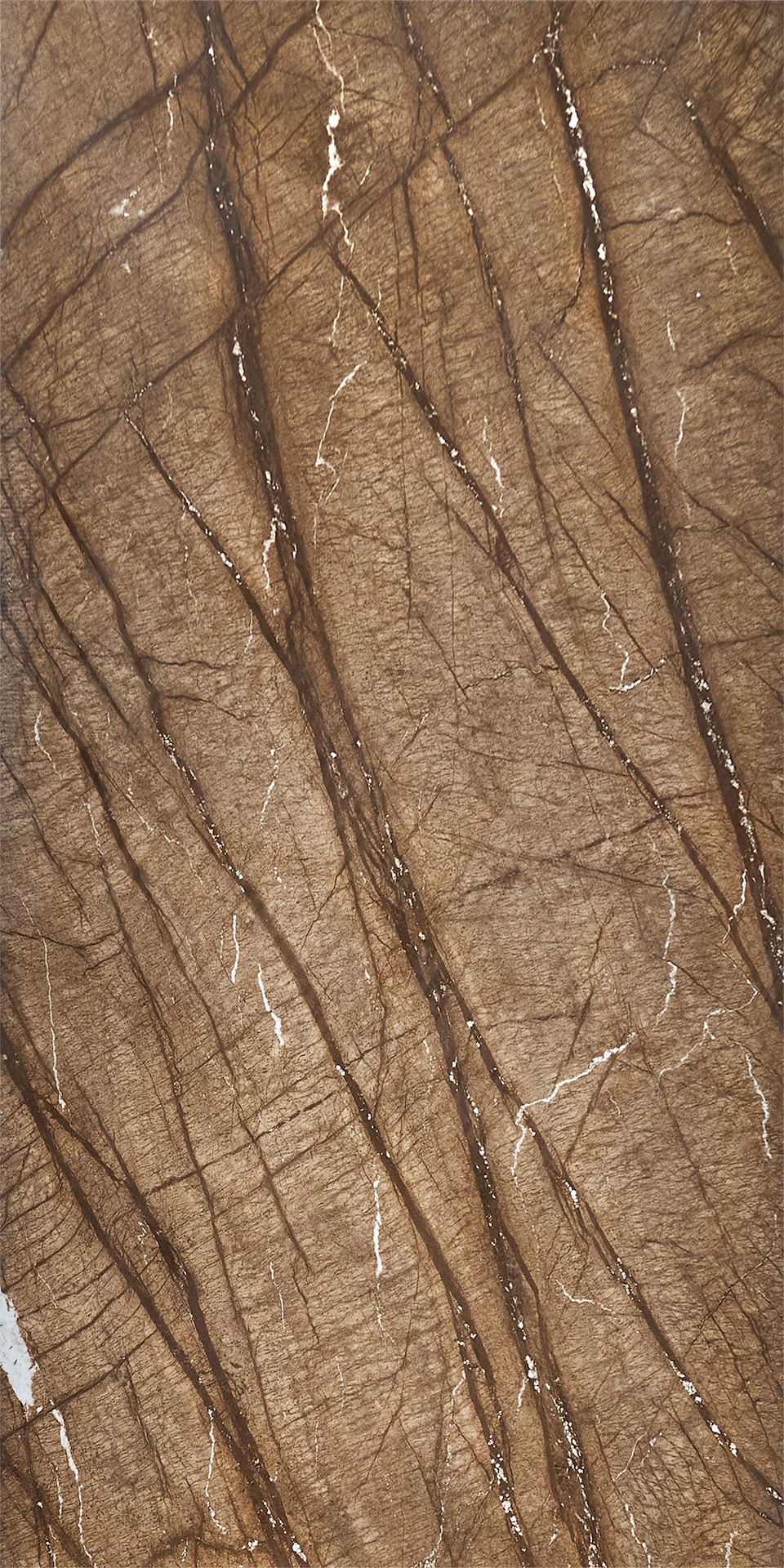BROWN FOREST