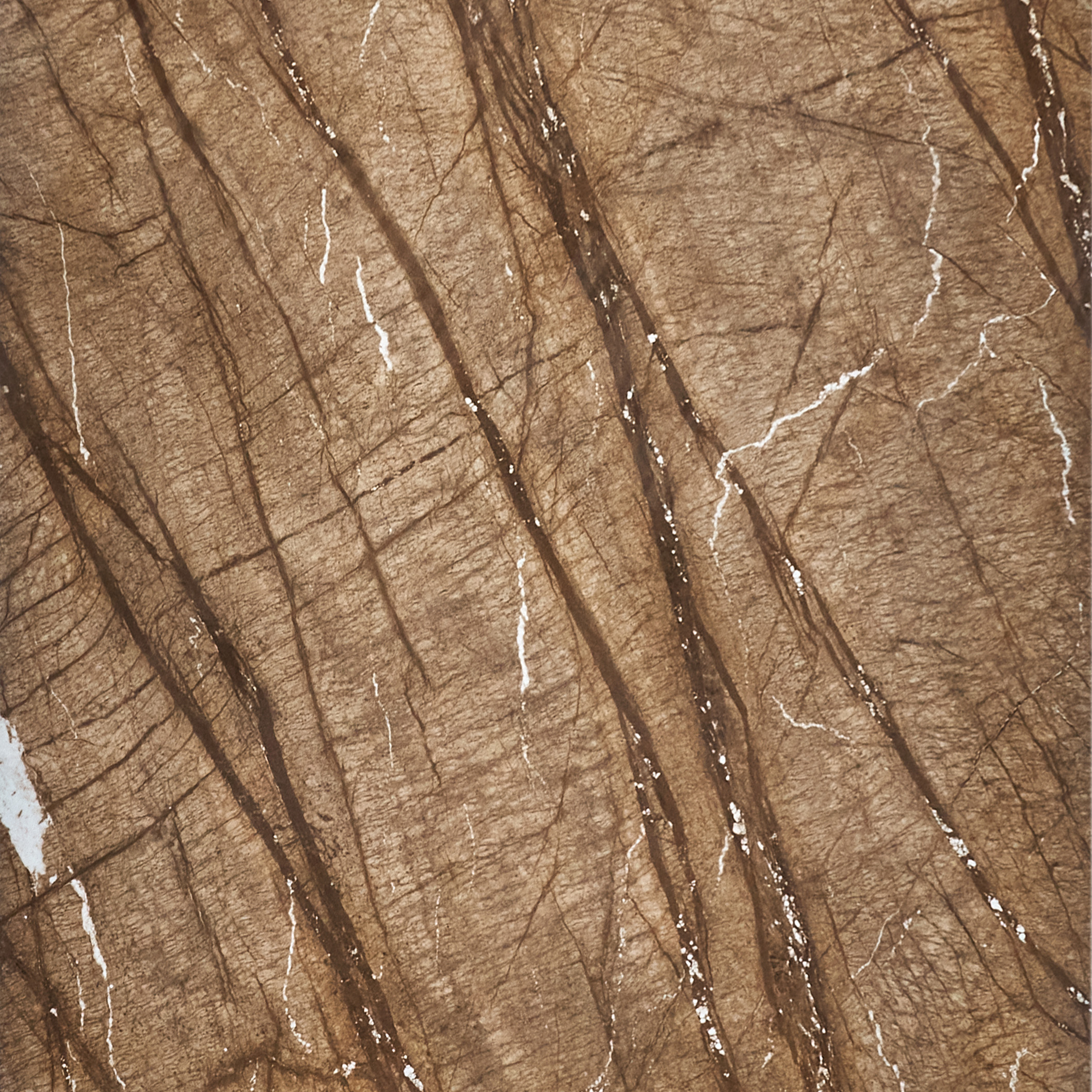 BROWN FOREST